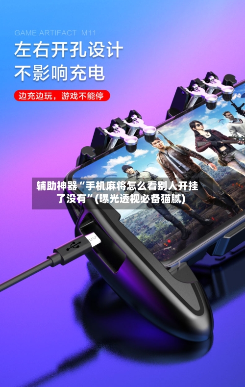 辅助神器“手机麻将怎么看别人开挂了没有”(曝光透视必备猫腻)-第3张图片