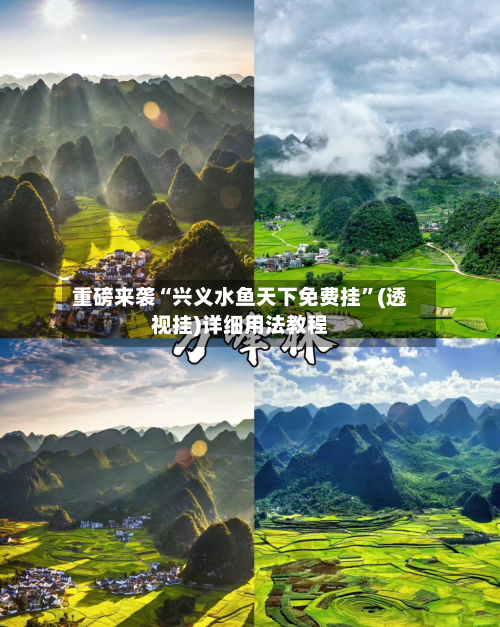 重磅来袭“兴义水鱼天下免费挂	”(透视挂)详细用法教程-第2张图片