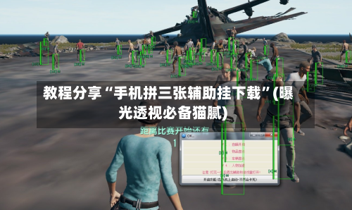 教程分享“手机拼三张辅助挂下载”(曝光透视必备猫腻)