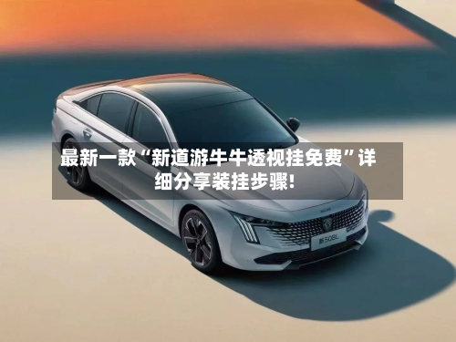 最新一款“新道游牛牛透视挂免费”详细分享装挂步骤!-第3张图片