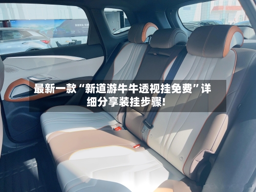 最新一款“新道游牛牛透视挂免费	”详细分享装挂步骤!-第2张图片