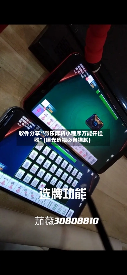 软件分享“微乐麻将小程序万能开挂器”(曝光透视必备猫腻)-第2张图片