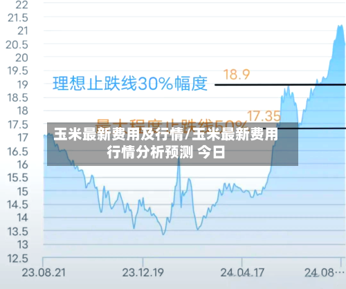 玉米最新费用及行情/玉米最新费用行情分析预测 今日