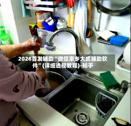 2026首发辅助“微信家乡大贰辅助软件”(详细透视教程)-知乎