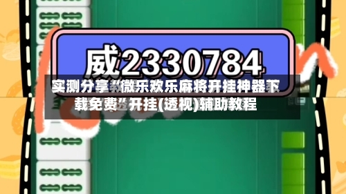 实测分享“微乐欢乐麻将开挂神器下载免费”开挂(透视)辅助教程-第2张图片