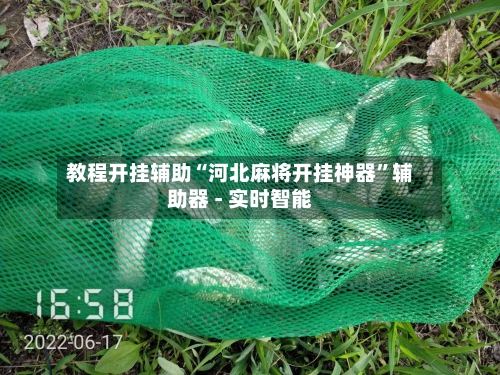 教程开挂辅助“河北麻将开挂神器”辅助器 - 实时智能-第3张图片