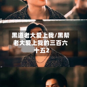 黑道老大爱上我/黑帮老大爱上我的三百六十五2