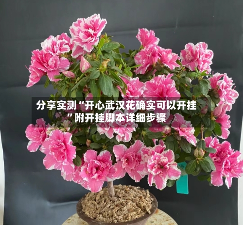 分享实测“开心武汉花确实可以开挂”附开挂脚本详细步骤-第2张图片