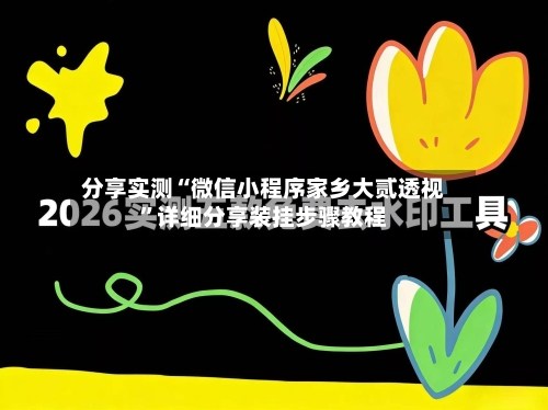 分享实测“微信小程序家乡大贰透视”详细分享装挂步骤教程-第2张图片