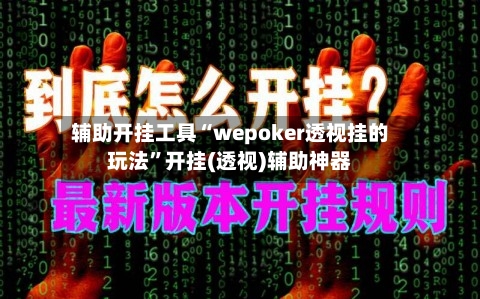 辅助开挂工具“wepoker透视挂的玩法”开挂(透视)辅助神器