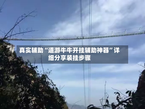 真实辅助“道游牛牛开挂辅助神器”详细分享装挂步骤