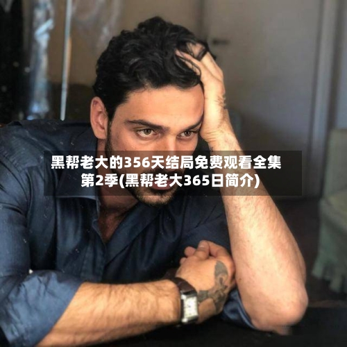黑帮老大的356天结局免费观看全集第2季(黑帮老大365日简介)-第3张图片