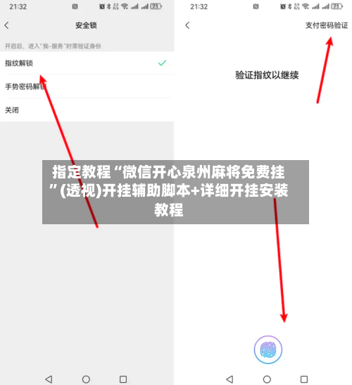 指定教程“微信开心泉州麻将免费挂”(透视)开挂辅助脚本+详细开挂安装教程-第2张图片