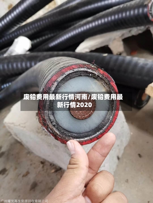 废铅费用最新行情河南/废铅费用最新行情2020