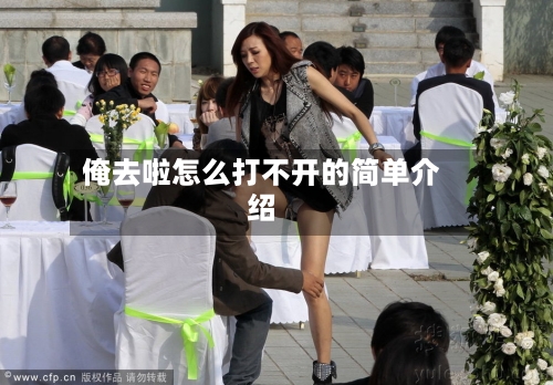 俺去啦怎么打不开的简单介绍-第2张图片