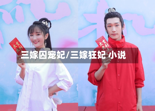 三嫁囚宠妃/三嫁狂妃 小说-第2张图片