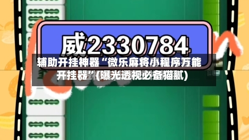 辅助开挂神器“微乐麻将小程序万能开挂器”(曝光透视必备猫腻)