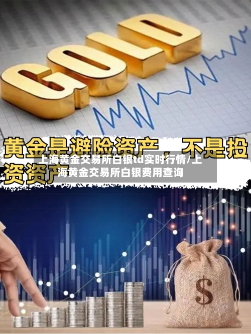 上海黄金交易所白银td实时行情/上海黄金交易所白银费用查询