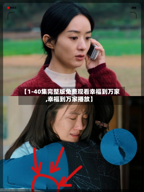 【1-40集完整版免费观看幸福到万家,幸福到万家播放】-第2张图片