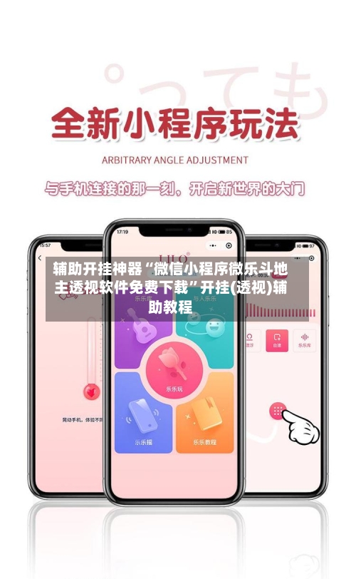 辅助开挂神器“微信小程序微乐斗地主透视软件免费下载”开挂(透视)辅助教程-第2张图片