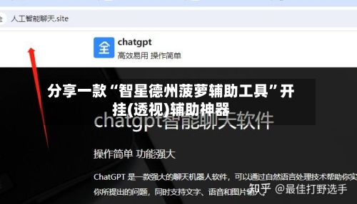 分享一款“智星德州菠萝辅助工具	”开挂(透视)辅助神器-第3张图片