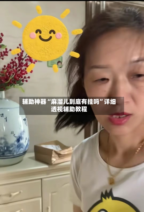辅助神器“麻溜儿到底有挂吗”详细透视辅助教程-第2张图片