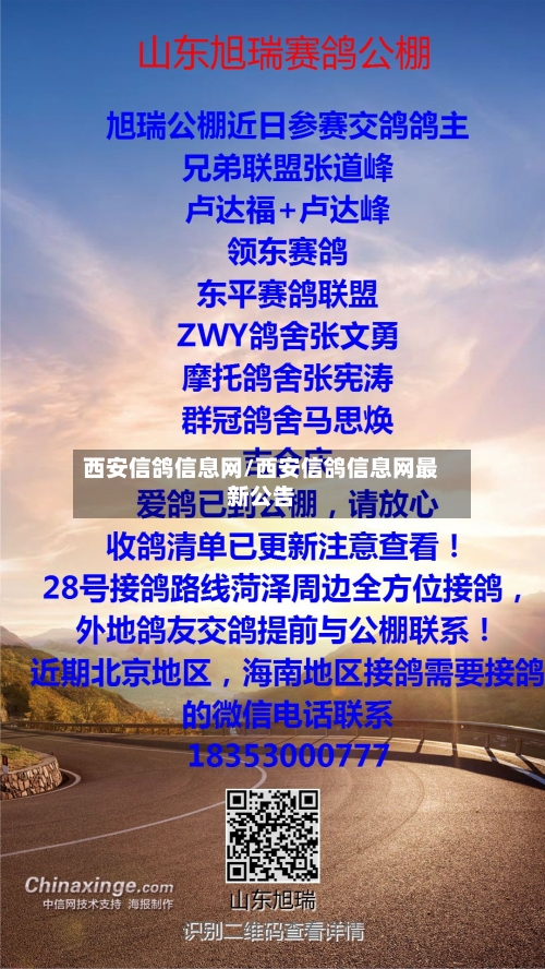 西安信鸽信息网/西安信鸽信息网最新公告-第3张图片