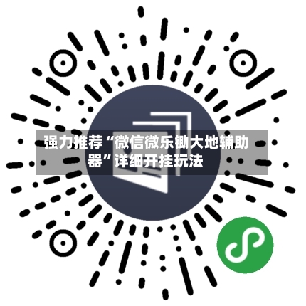 强力推荐“微信微乐锄大地辅助器”详细开挂玩法-第3张图片