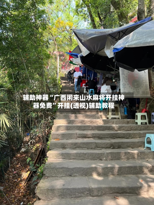 辅助神器“广西闲来山水麻将开挂神器免费”开挂(透视)辅助教程-第2张图片