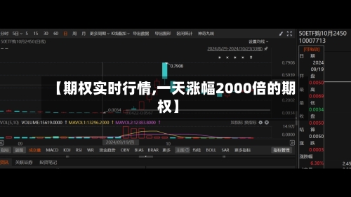 【期权实时行情,一天涨幅2000倍的期权】
