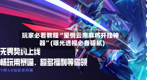 玩家必看教程“星悦云南麻将开挂神器”(曝光透视必备猫腻)-第3张图片