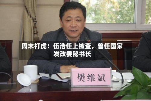 周末打虎！伍浩任上被查，曾任国家发改委秘书长-第3张图片