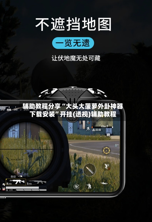 辅助教程分享“大头大菠萝外卦神器下载安装”开挂(透视)辅助教程-第3张图片