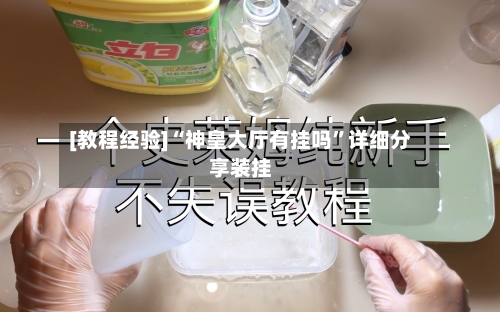 [教程经验]“神皇大厅有挂吗”详细分享装挂