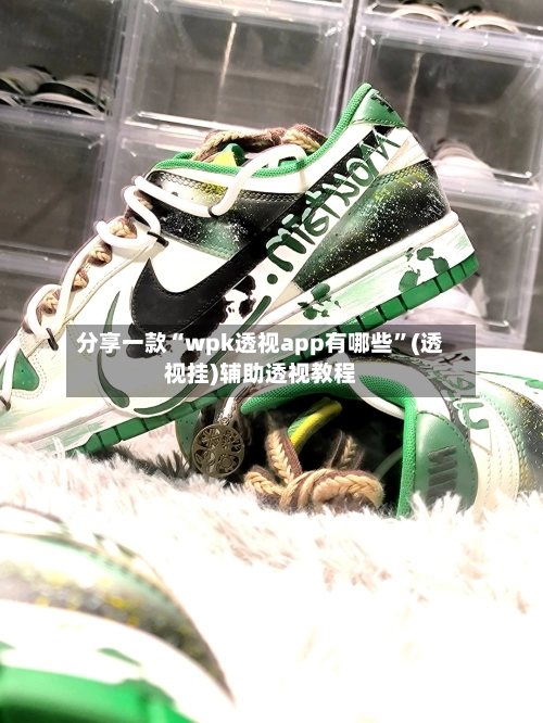 分享一款“wpk透视app有哪些”(透视挂)辅助透视教程-第3张图片