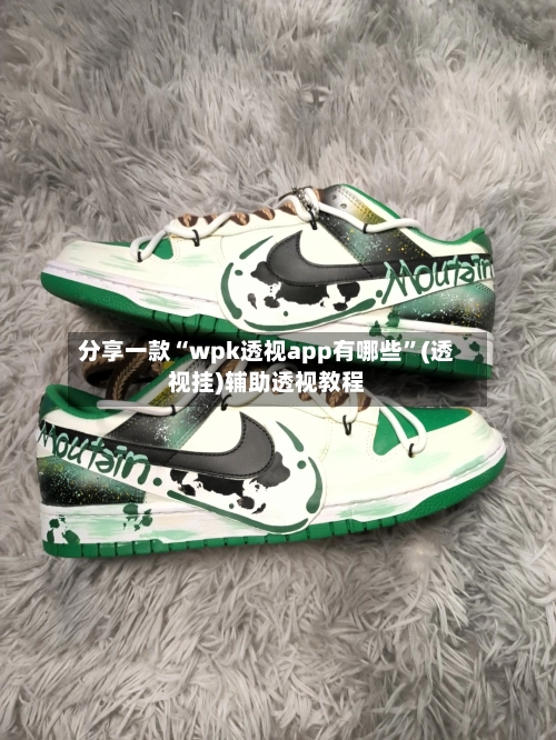 分享一款“wpk透视app有哪些	”(透视挂)辅助透视教程-第2张图片