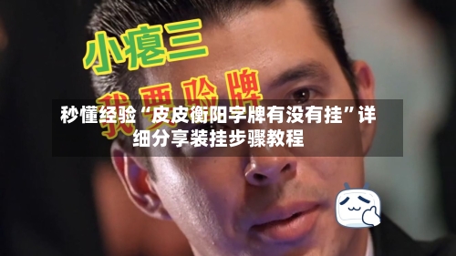 秒懂经验“皮皮衡阳字牌有没有挂”详细分享装挂步骤教程-第3张图片