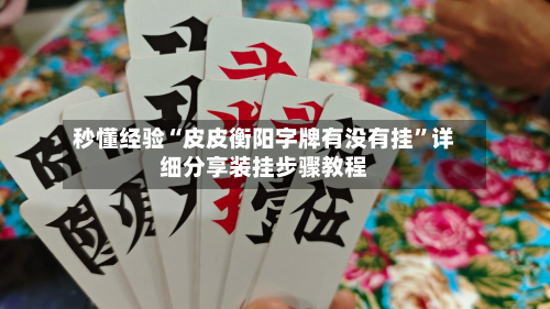 秒懂经验“皮皮衡阳字牌有没有挂”详细分享装挂步骤教程-第2张图片