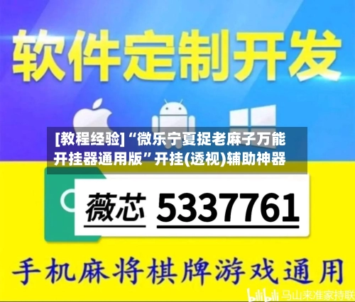 [教程经验]“微乐宁夏捉老麻子万能开挂器通用版	”开挂(透视)辅助神器-第2张图片