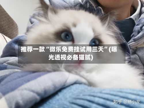 推荐一款“微乐免费挂试用三天	”(曝光透视必备猫腻)-第2张图片