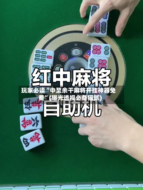 玩家必读“中至余干麻将开挂神器免费”(曝光透视必备猫腻)-第3张图片