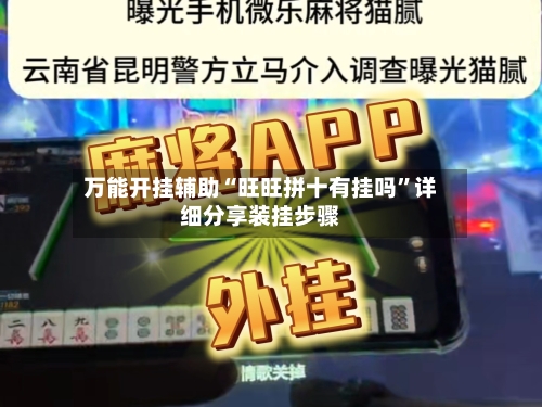 万能开挂辅助“旺旺拼十有挂吗”详细分享装挂步骤-第3张图片
