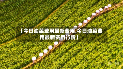 【今日油菜费用最新费用,今日油菜费用最新费用行情】