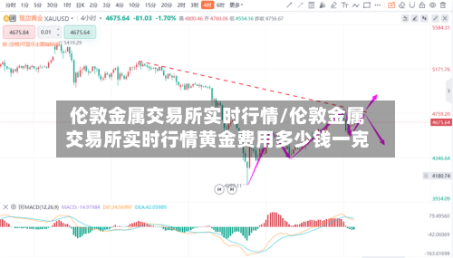 伦敦金属交易所实时行情/伦敦金属交易所实时行情黄金费用多少钱一克-第3张图片