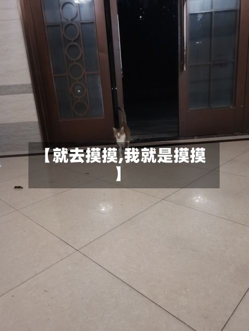 【就去摸摸,我就是摸摸】-第2张图片