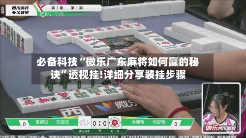必备科技“微乐广东麻将如何赢的秘诀	”透视挂!详细分享装挂步骤-第3张图片