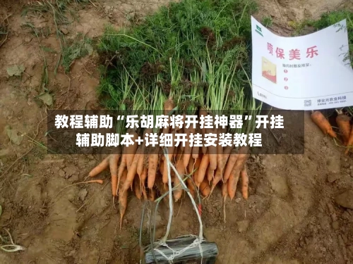 教程辅助“乐胡麻将开挂神器”开挂辅助脚本+详细开挂安装教程