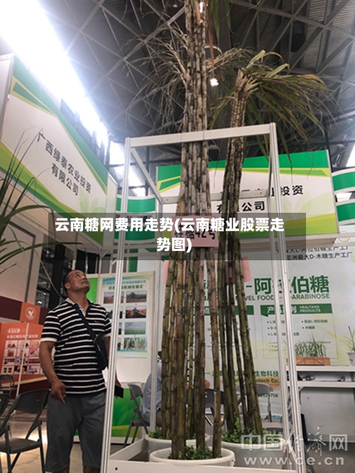 云南糖网费用走势(云南糖业股票走势图)-第3张图片