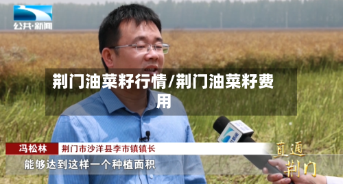 荆门油菜籽行情/荆门油菜籽费用-第2张图片