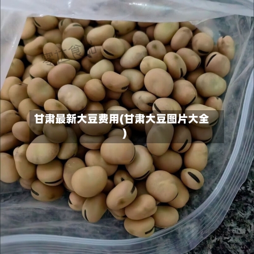 甘肃最新大豆费用(甘肃大豆图片大全)-第2张图片